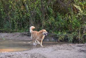 BIB: 
                            <button type="button" onclick="openModal(6968372)" class="btn btn-primary btn-sm float-right btn-popup" data-toggle="modal" data-target=".modal-high-quality">
                        <i class="fas fa-shopping-cart"></i> Add to Cart
                    </button>
                                            <button type="button" onclick="isThisMe(6968372, true)" class="btn btn-success btn-sm float-right btn-popup btn-isme hidden" data-toggle="tooltip" data-placement="bottom" title="นี่คือรูปของคุณใช่ไหม คลิกที่นี่เพื่อเอาเข้าอัลบั้ม">
                        <i class="fas fa-plus"></i> Add to album
                    </button>
                    <button type="button" onclick="isThisMe(6968372, false)" class="btn btn-warning btn-sm float-right btn-popup btn-isnotme hidden">
                        <i class="fas fa-ban"></i> Remove from album
                    </button>